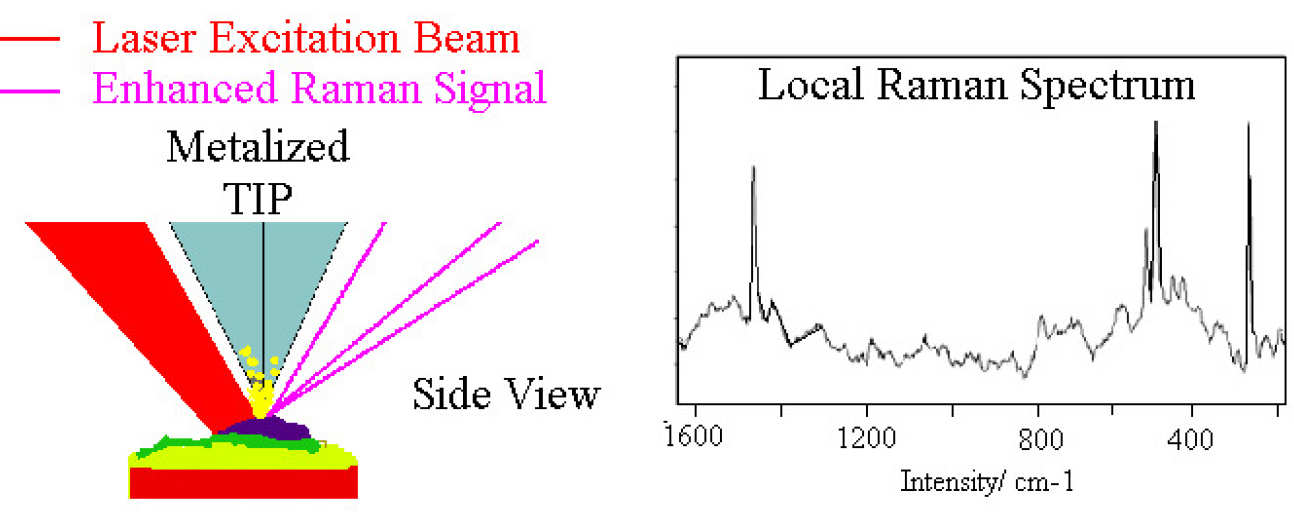 Side view of Raman-AFM, and local Raman 