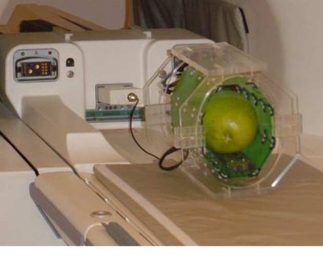 1H imaging of a pomelo fruit using the flexible coil at 1.5 T in a GE Signa Excite scanner