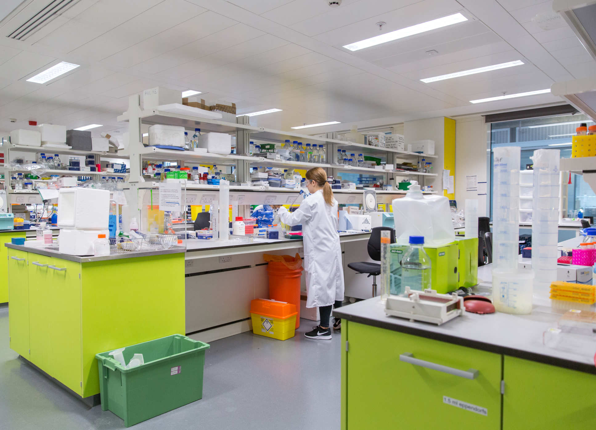 A generic photo of a College laboratory