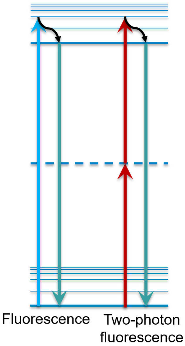 Two-photon Jablonski Diagram
