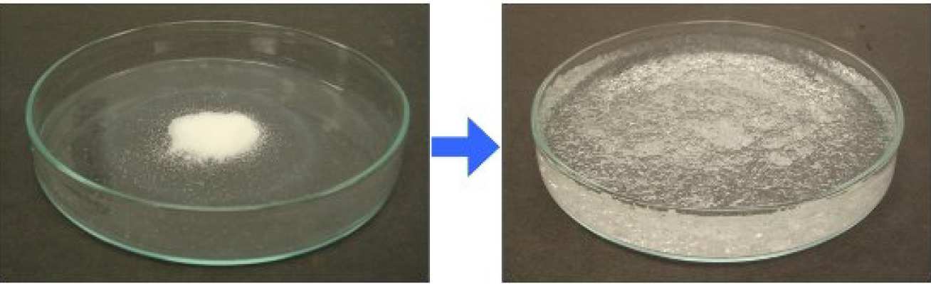 Fig 1: Dry SAP powder and swollen SAP gel.