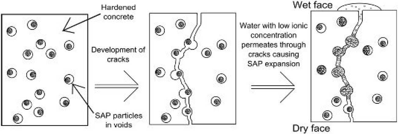 Fig 3: Schematic showing the mechanism of self-sealing using SAP.