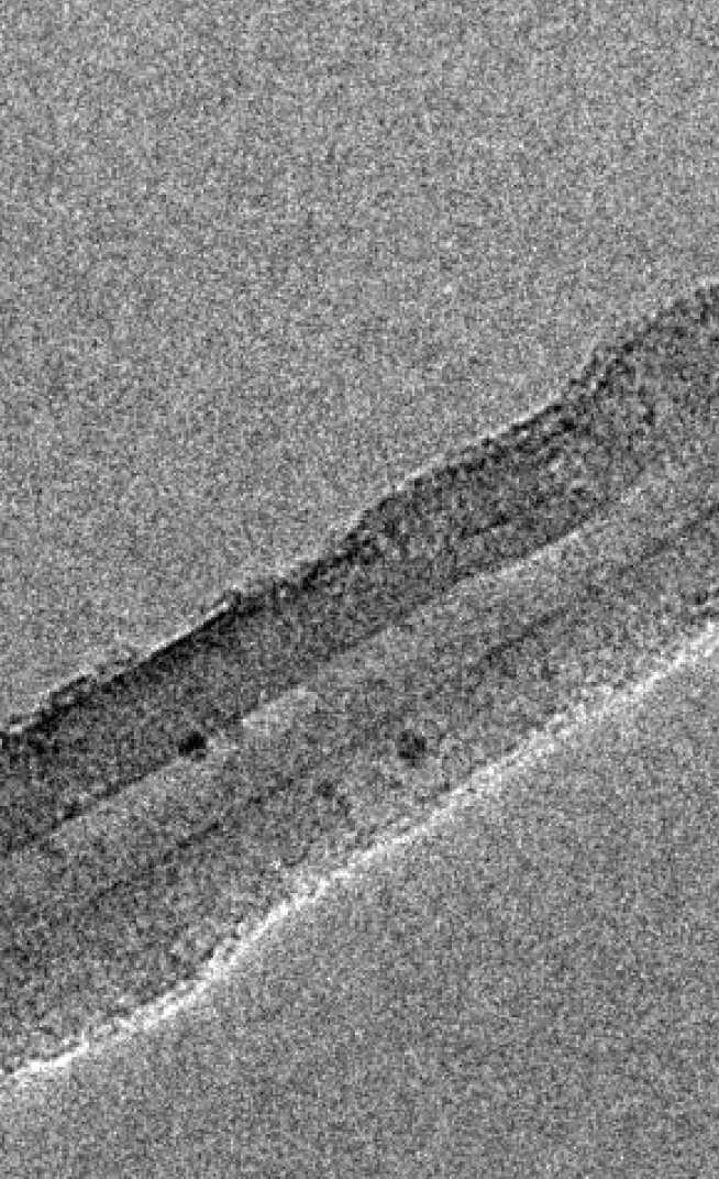 Multi-walled carbon nanotube imaged using TEM