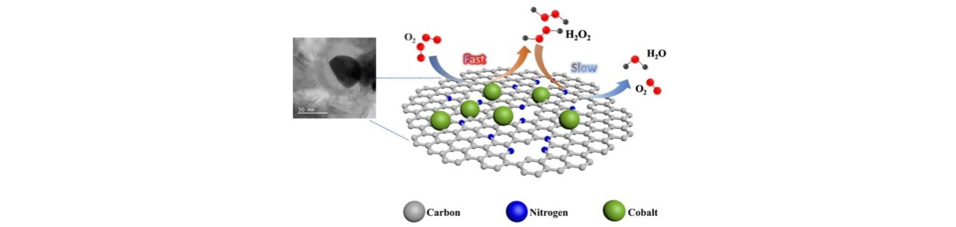 Graphical Abstract – “Highly Selective O2 Reduction to H2O2 Catalyzed by Cobalt Nanoparticles Supported on Nitrogen-Doped Carbon in Alkaline Solution”