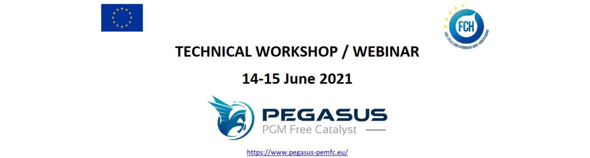 Pegasus workshop flyer