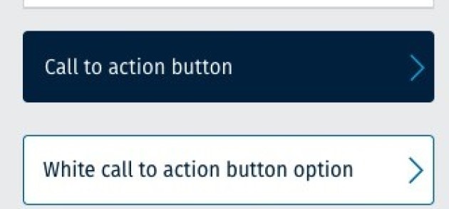 Example of the blue and white call to action buttons