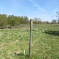 Nash's Field post