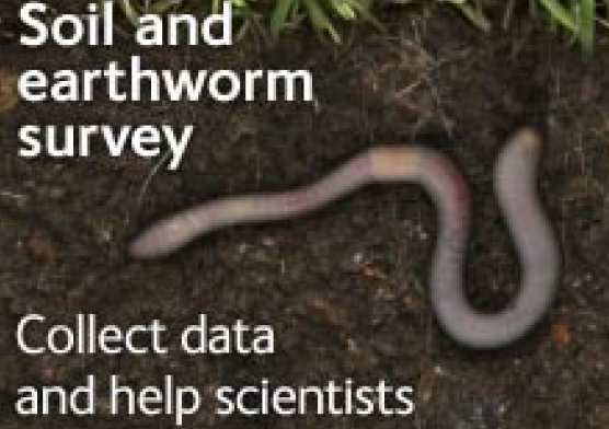soil and earthworm survey